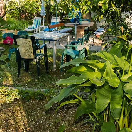 Apartment Gama Igalo